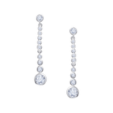 Sparkle Drop Earrings