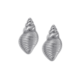 Conch Shell Earrings