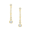 Sparkle Drop Earrings