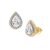 Pear Diamond Halo Studs