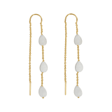 Drop Shell Earrings