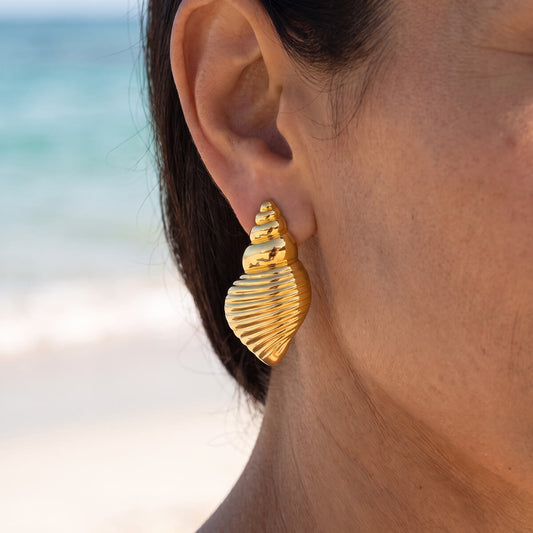 Conch Shell Earrings