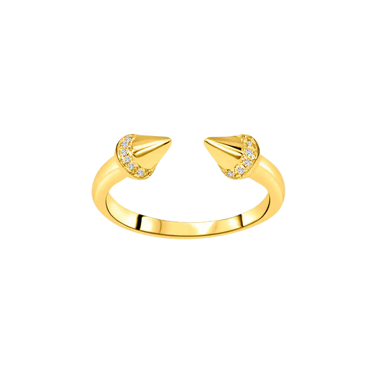 Dual Cone Ring