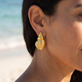 Conch Shell Earrings