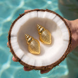 Conch Shell Earrings