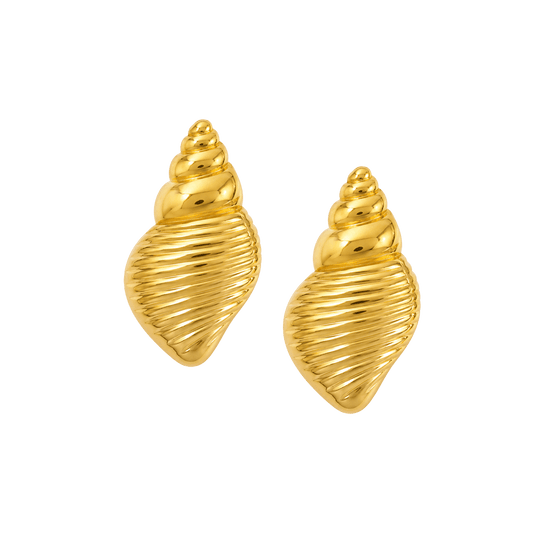 Conch Shell Earrings