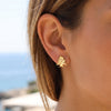 Cedar Tree Studs