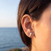 Lebanon Map Studs