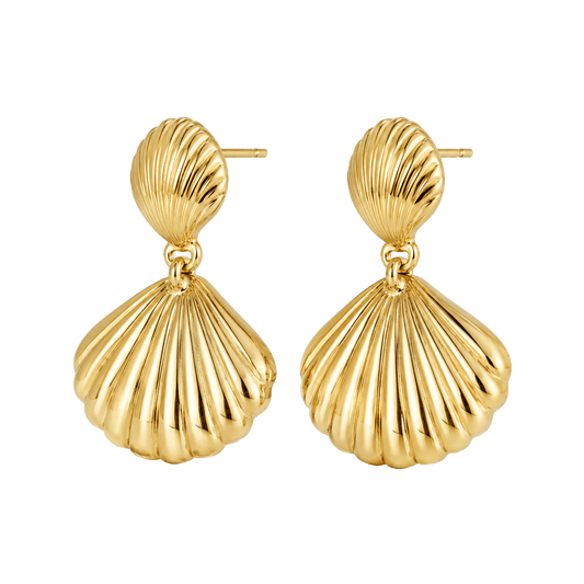 Shell Drop Earrings